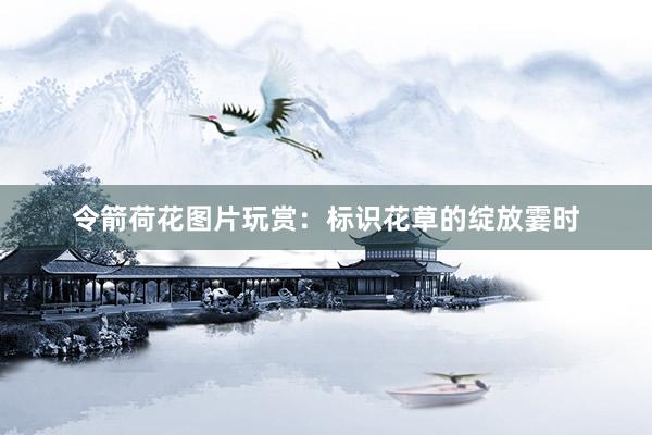 令箭荷花图片玩赏：标识花草的绽放霎时
